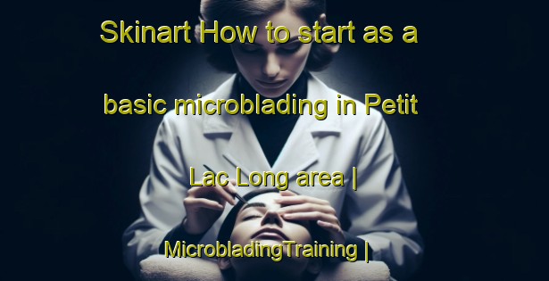 Skinart How to start as a basic microblading in Petit Lac Long area | MicrobladingTraining | MicrobladingClasses | SkinartTraining-Canada